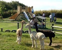 Filey Bird Garden and Animal Park
